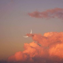 未命名凡是过去，皆为序章。