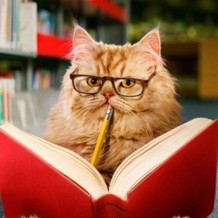 河南耶鲁专升本怎么样？