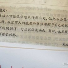 昨日之深渊，今日之浅谈