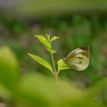 冬镜：什么样的人只适合做塑料兄弟
