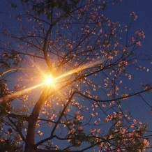 成长就像走夜路一样，既没有灯也没啥人，但正因为黎明很美，所以你要酷酷地走下去