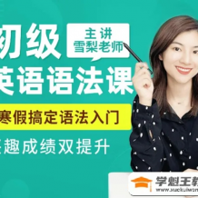 【雪梨英语】雪梨老师 讲英语初级语法课 兴趣成绩双提升