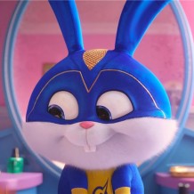 《爱宠大机密2》：除了萌你一脸血，还能看到什么？