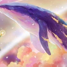 努力到无能为力，拼搏到感动自己