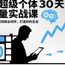 AI超级个体30天流量实战课 超级个体觉醒 从小项目到商业闭环 打造你的生态