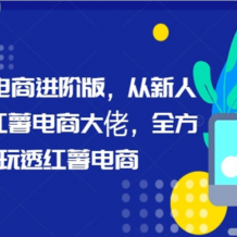 小红书 电商进阶版 新人全方位玩透红薯电商