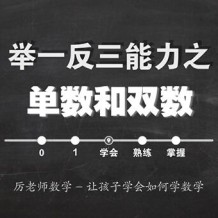 厉老师 315堂小学数学思维课 完整视频合集(含电子讲义+习题) 百度网盘下载