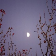 如果问我思念多重，不重的，像一座秋山的落叶