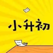 2025年新版小升初语文总复习专项知识点46套Word高清完整版 网盘打包下载