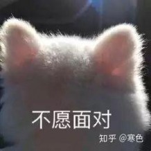 你的大学参加了什么活动