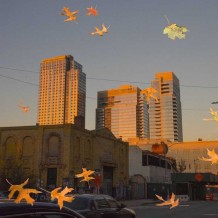 外面的世界很精彩，我的世界很平常