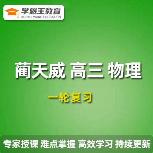 作业帮2024蔺天威高三物理s暑假班课程24年高考一轮复习视频教程+讲义笔记