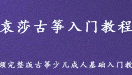 袁莎古筝入门教程视频 古筝少儿成人基础入门教材 百度网盘资源下载