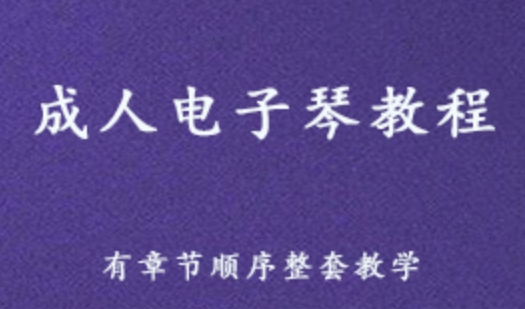 成人电子琴教程全套 电子琴教学视频 1.51G百度网盘资源打包下载