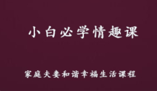 小白必学 情趣课教学视频 百度网盘资源打包下载