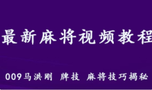 最新麻将视频教程马洪刚 牌技 麻将技巧 南北对决反赌视频 百度网盘资源打包下载