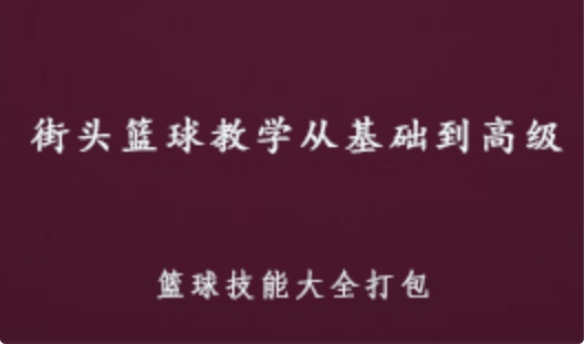 街头篮球教学从基础到高级 篮球技能大全 3.73G课程百度网盘打包下载