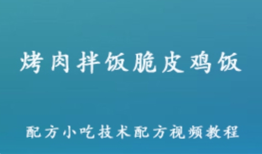 烤肉拌饭脆皮鸡饭巴西 张姐奥尔良技术配方小吃技术配方视频教程 百度网盘资源打包下载