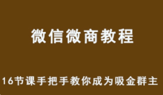 微信群赚钱法 16节课手把手教你成为吸金群主 百度网盘下载