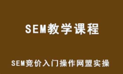 SEM竞价 入门操作课程+SEM网盟实操系列课程（共18节视频）百度网盘下载