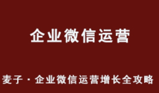 麦子 企业微信运营增长全攻略网课教程 百度网盘下载