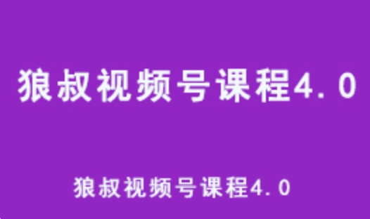 狼叔视频号课程4.0 教你怎样运营短视频获取流量教学课程 百度网盘下载