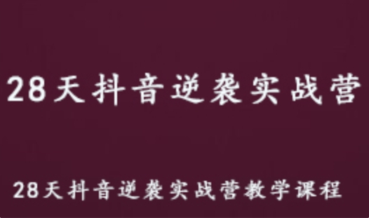 抖音运营教程 28天逆袭实战营教学课程 1.04G资源百度网盘下载