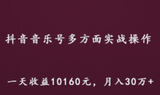 抖音音乐号实战操作教程 某团队内部项目一天收益10160元 月入30万+,百度网盘资源打包下载