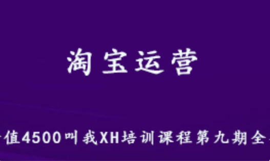 淘宝运营价值4500培训课程全集 21.7G课程 百度网盘资源打包下载