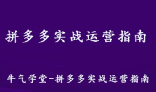 牛气学堂 拼多多实战运营教学课程 百度网盘资源打包下载