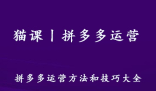 猫课拼多多运营方法和技巧教学视频 3.77G百度网盘资源打包下载